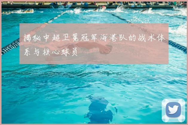 揭秘中超卫冕冠军海港队的战术体系与核心球员