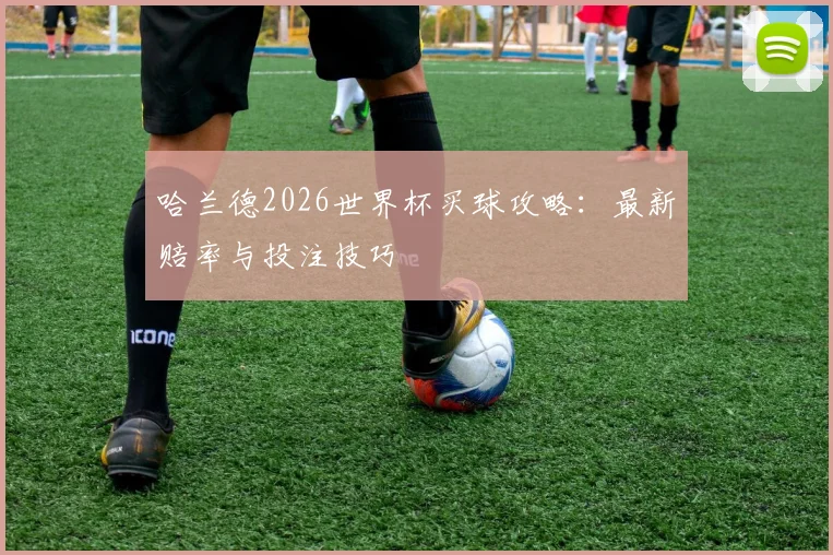 哈兰德2026世界杯买球攻略：最新赔率与投注技巧