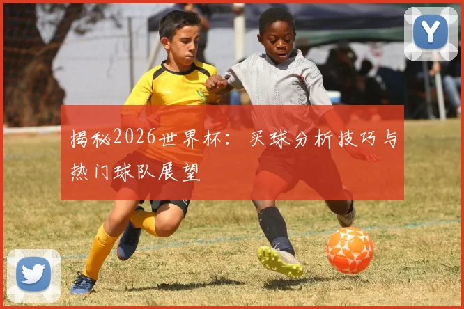 揭秘2026世界杯：买球分析技巧与热门球队展望