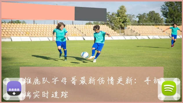 雄鹿队字母哥最新伤情更新：手机端实时追踪