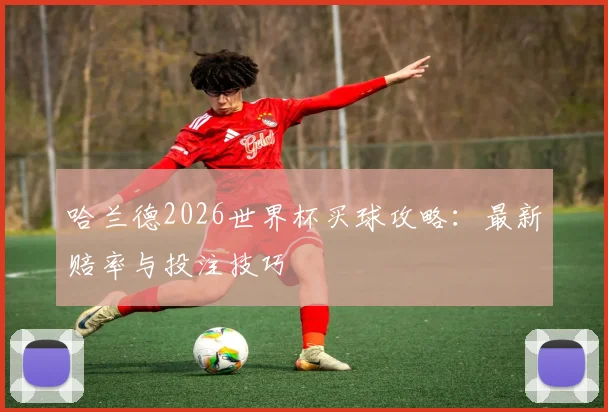 哈兰德2026世界杯买球攻略：最新赔率与投注技巧